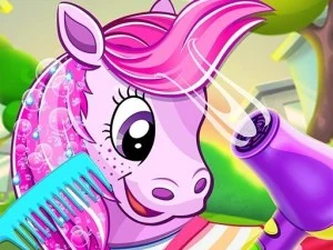 Pony-Haustiersalon